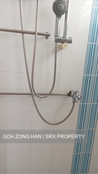 Blk 266 Bukit Batok East Avenue 4 (Bukit Batok), HDB 4 Rooms #520191981